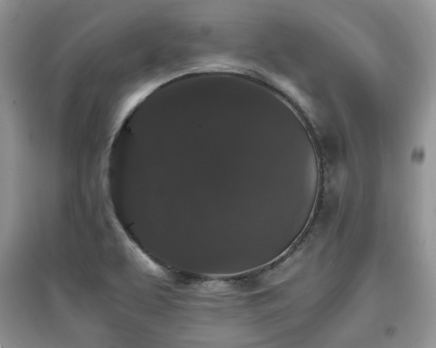 X0000097801463200803141043