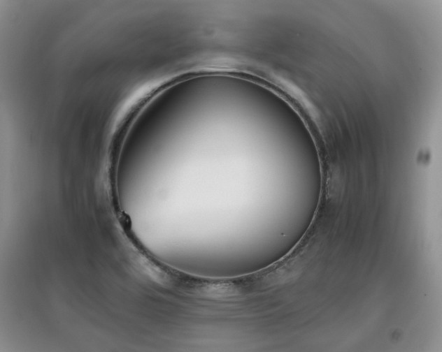X0000097801464200803141043