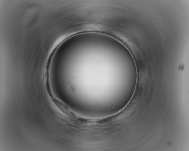 X0000097801467200803141043