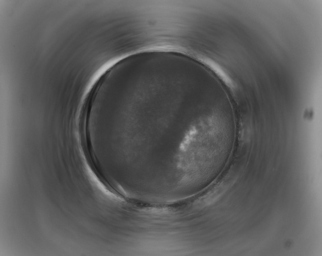 X0000097801468200803141043