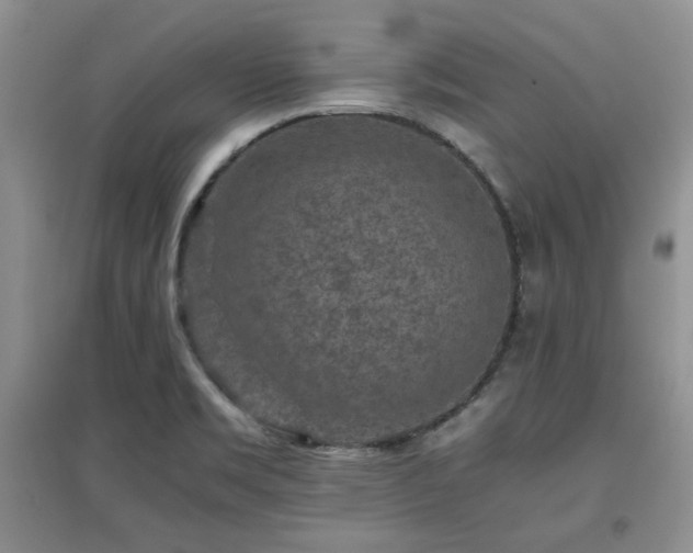 X0000097801469200803141043