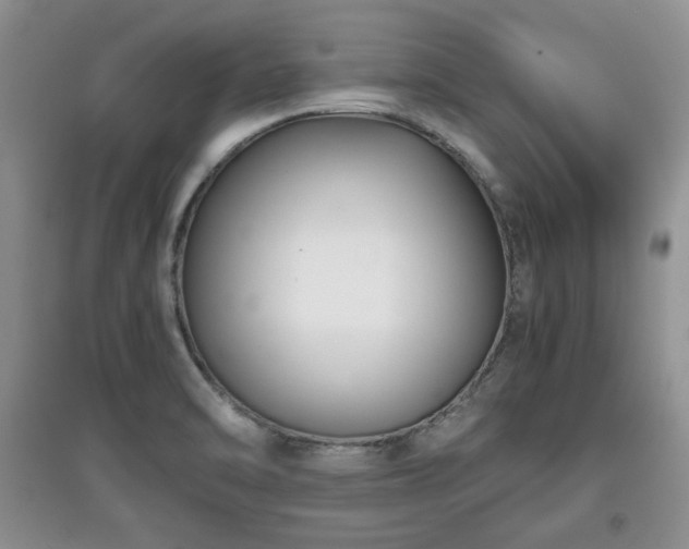 X0000097801470200803141043