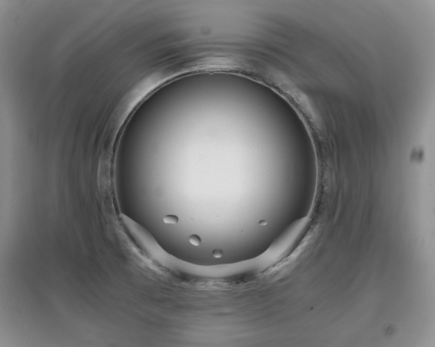 X0000097801473200803141043