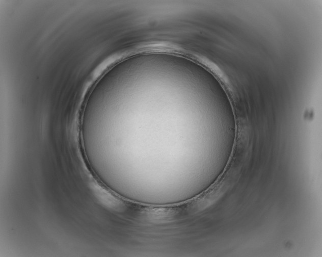X0000097801474200803141043