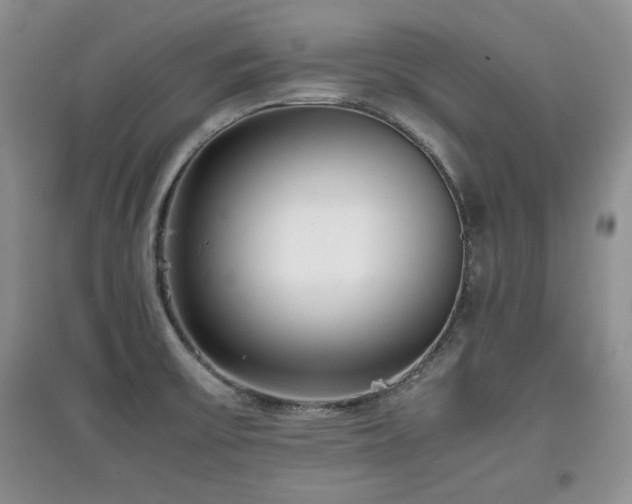 X0000097801475200803141043