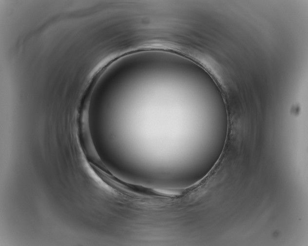 X0000097801476200803141043