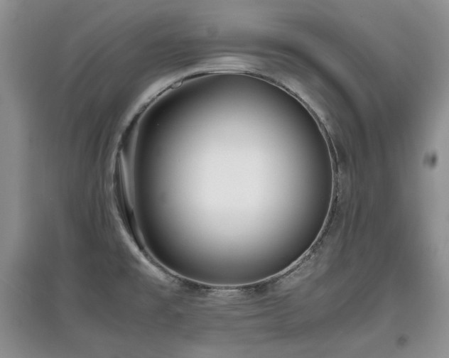 X0000097801477200803141043