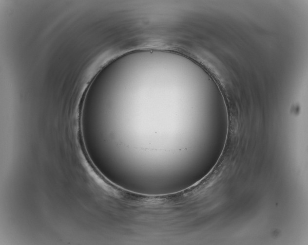 X0000097801479200803141043