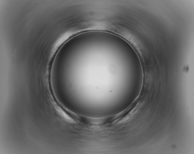 X0000097801480200803141043