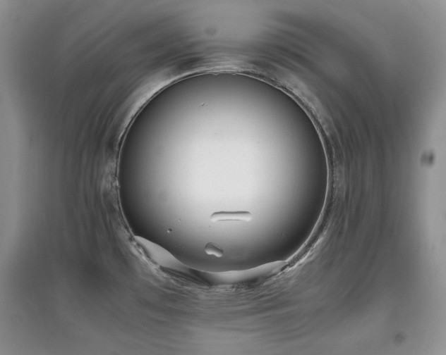 X0000097801481200803141043