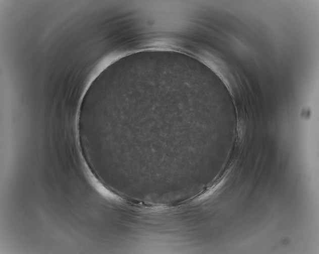 X0000097801482200803141043