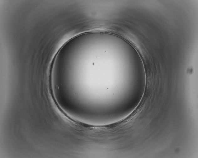 X0000097801483200803141043