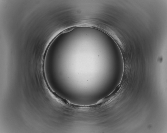 X0000097801484200803141043