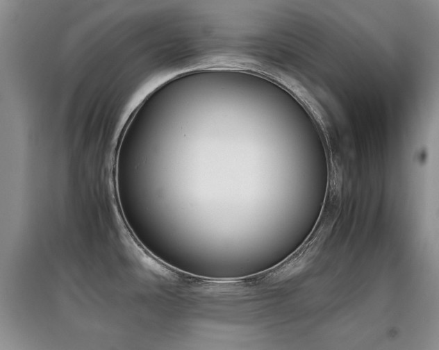 X0000097801486200803141043