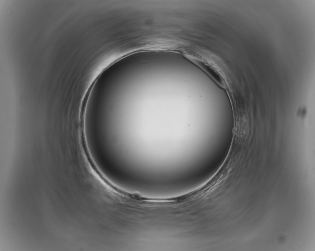 X0000097801487200803141043