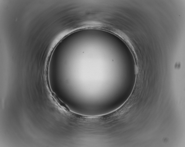 X0000097801488200803141043