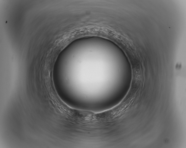 X0000097801489200803141042