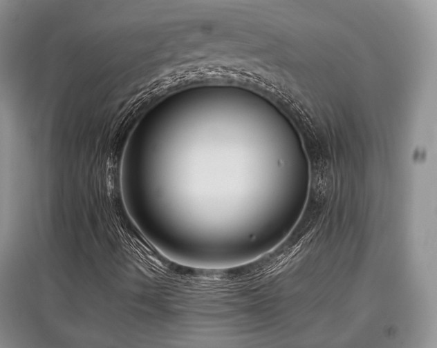 X0000097801490200803141042