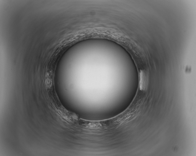 X0000097801491200803141042