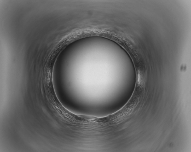 X0000097801492200803141042