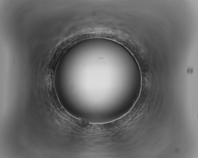 X0000097801493200803141042