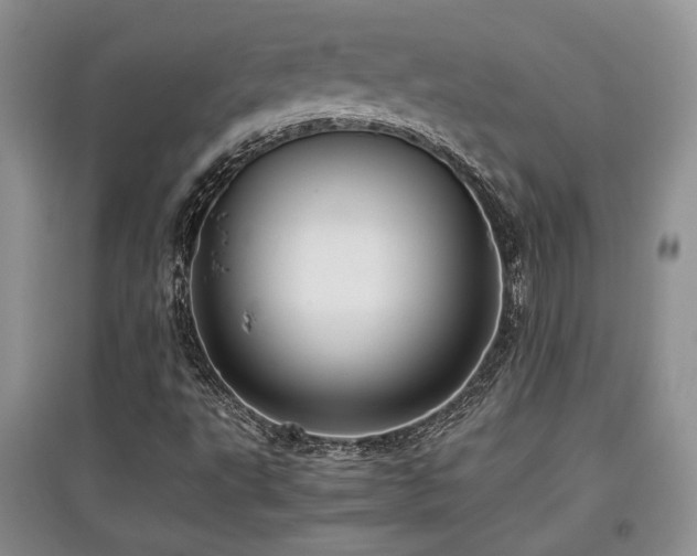 X0000097801495200803141042