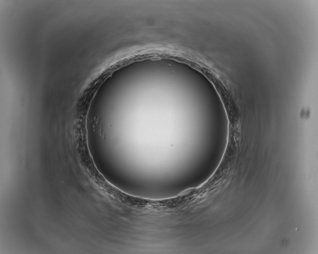 X0000097801496200803141042