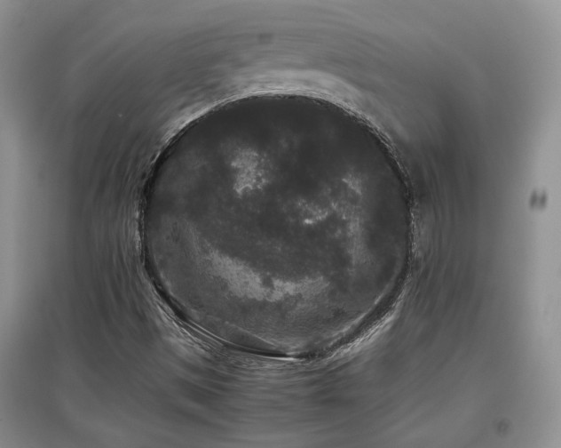 X0000097801497200803141042