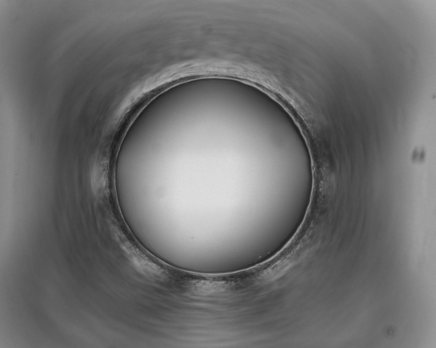X0000097801499200803141042