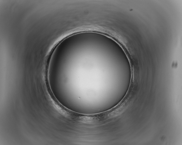X0000097801500200803141042