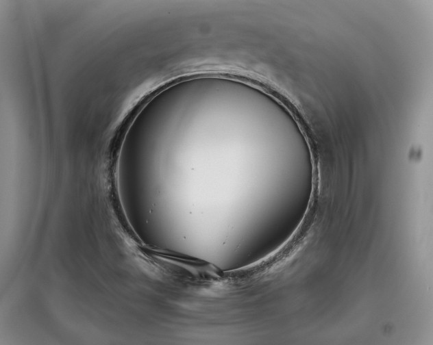 X0000097801501200803141042