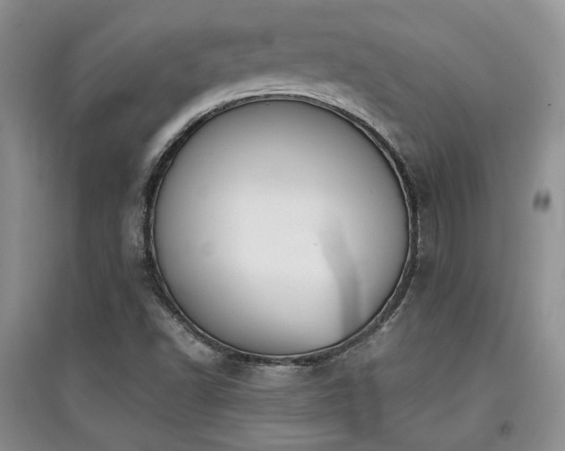X0000097801502200803141042