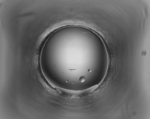 X0000097801503200803141042
