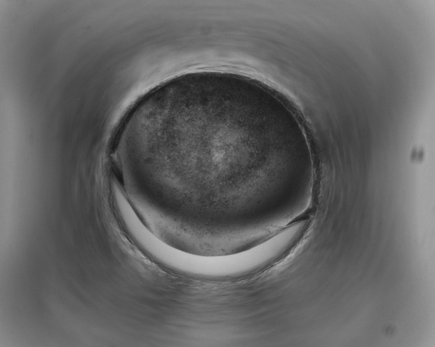 X0000097801506200803141042