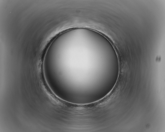 X0000097801507200803141042