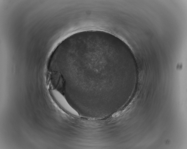 X0000097801508200803141042