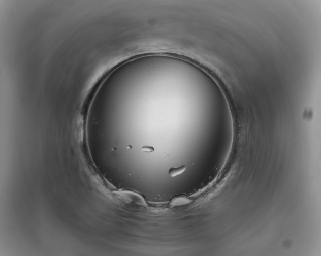 X0000097801509200803141042