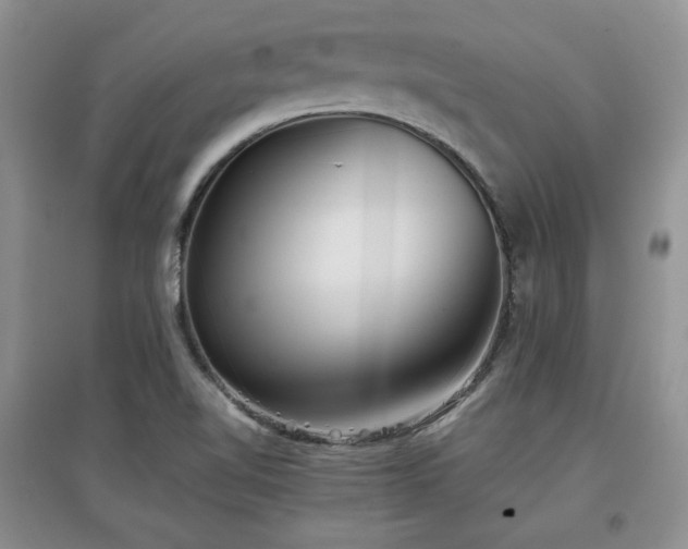 X0000097801510200803141042
