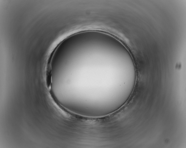 X0000097801512200803141042