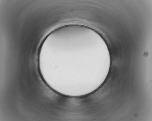 X0000097801514200803141042