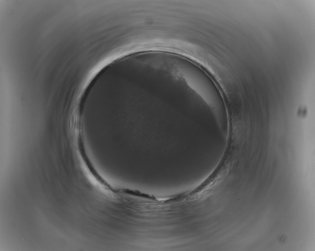 X0000097801515200803141042