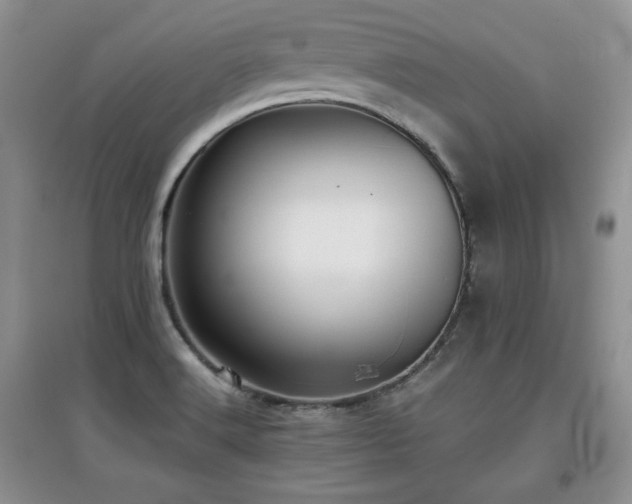X0000097801516200803141042