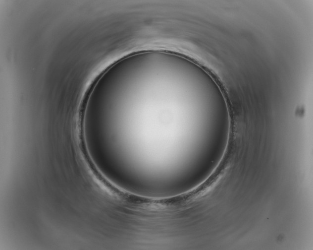 X0000097801517200803141042