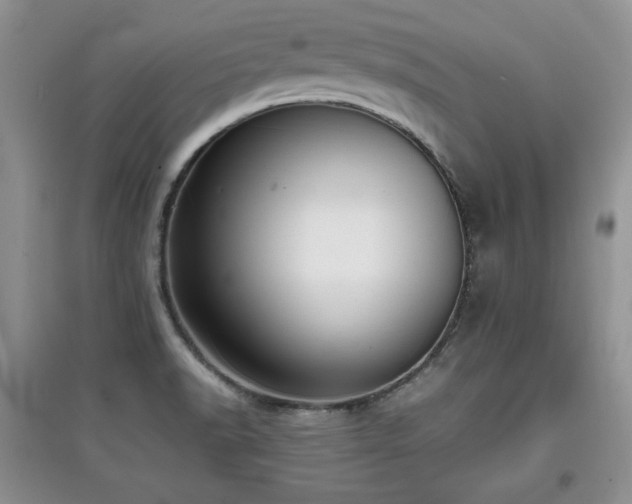 X0000097801518200803141042