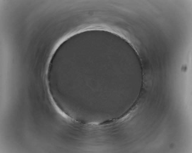 X0000097801519200803141042