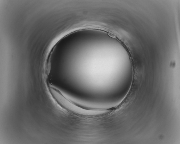 X0000097801520200803141042