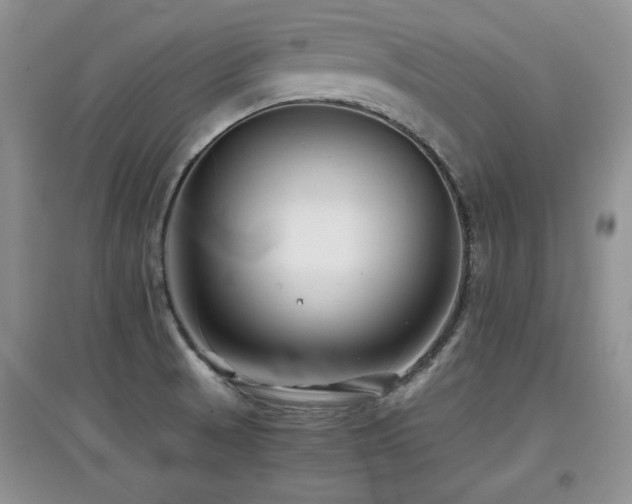 X0000097801521200803141042