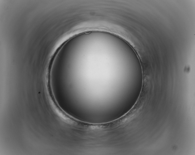 X0000097801523200803141042