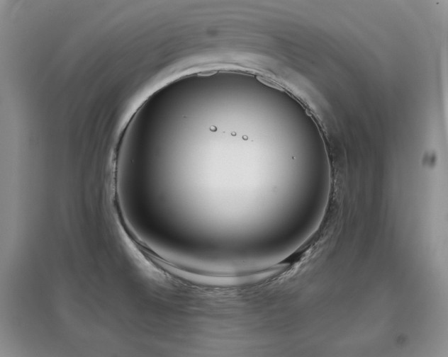 X0000097801524200803141042
