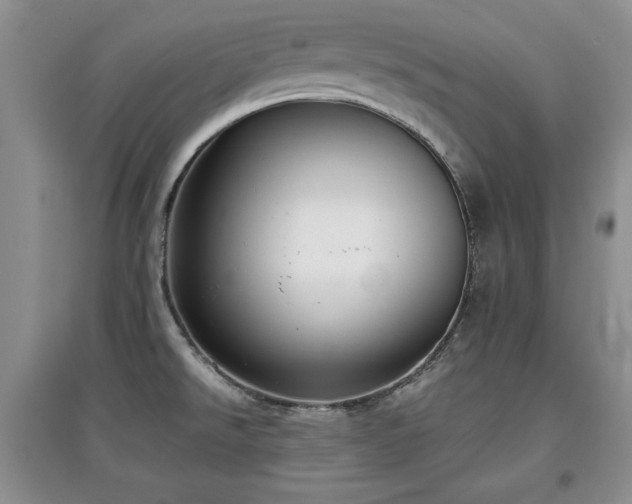 X0000097801526200803141042